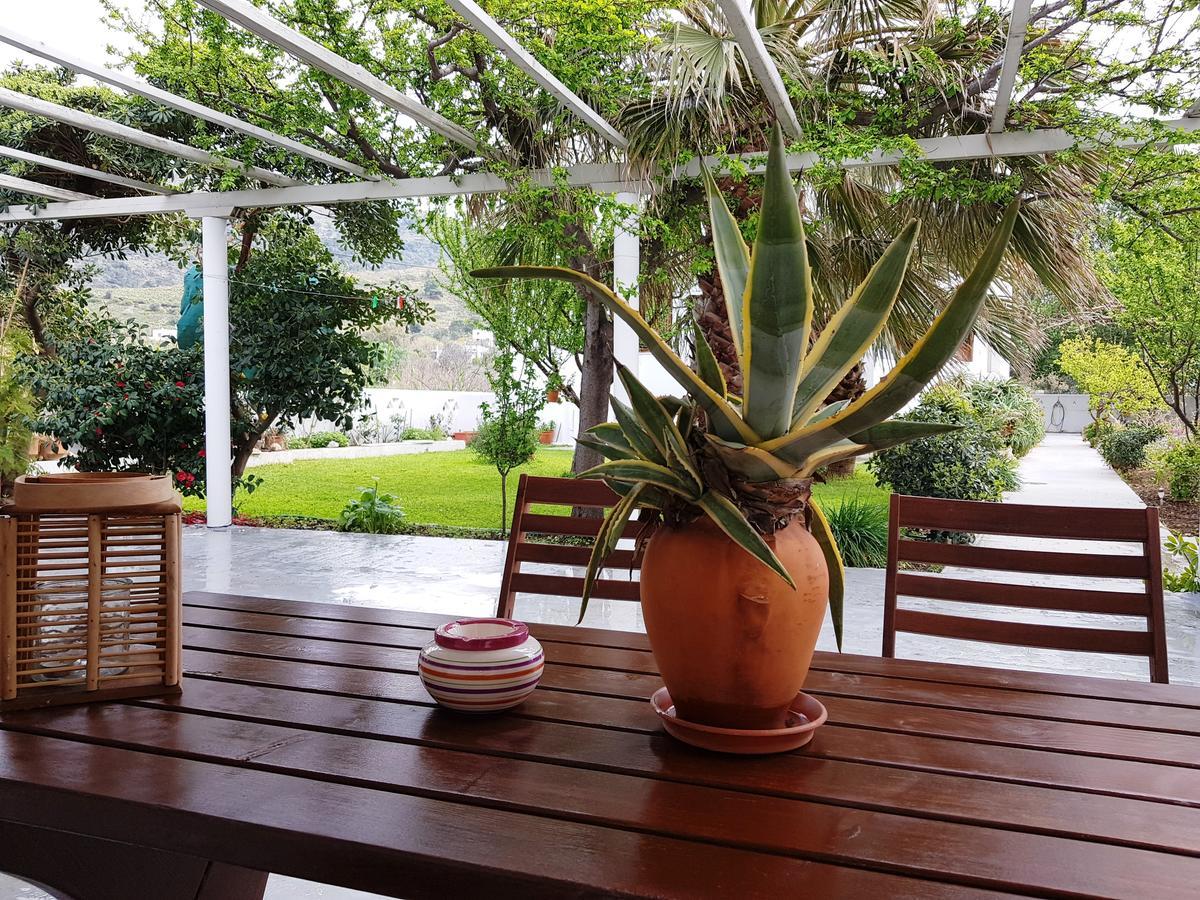 Theo'S Vacation Home 斯基罗斯岛 外观 照片